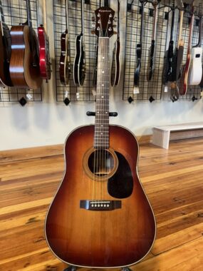 Epiphone PR-650ACS
