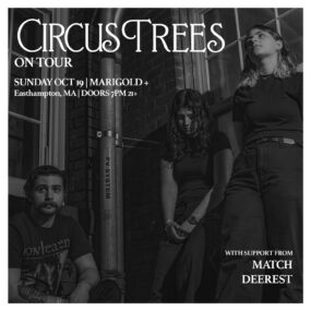 Circus Trees | Match | Deerest
