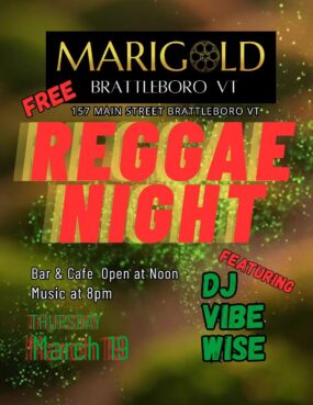 Reggae Night w/ DJ Vibe Wise